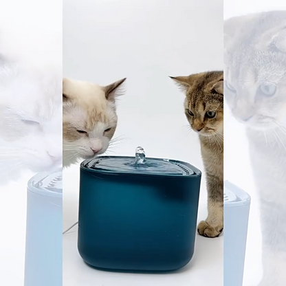 Fontaine à eau intelligente 3L – Silencieuse & filtrante pour chats et chiens